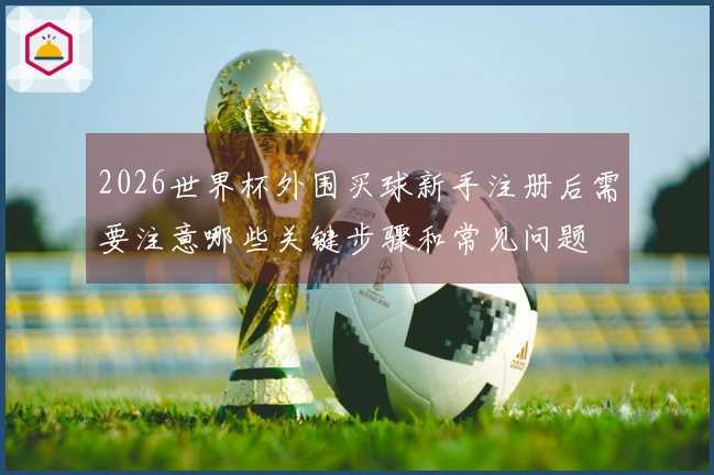 2026世界杯外围买球新手注册后需要注意哪些关键步骤和常见问题