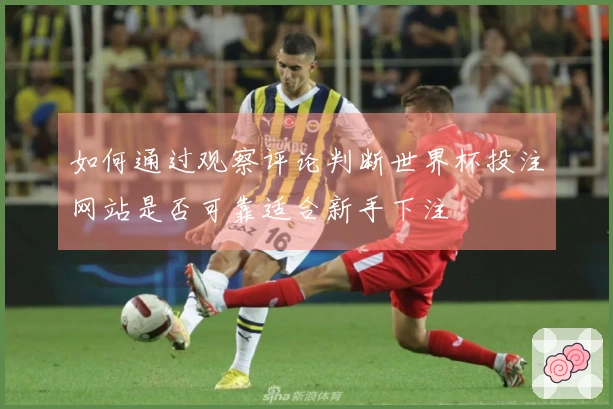 如何通过观察评论判断世界杯投注网站是否可靠适合新手下注