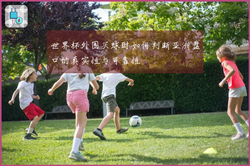 世界杯外围买球时如何判断亚洲盘口的真实性与可靠性